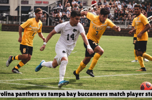 carolina panthers vs tampa bay buccaneers match player stats